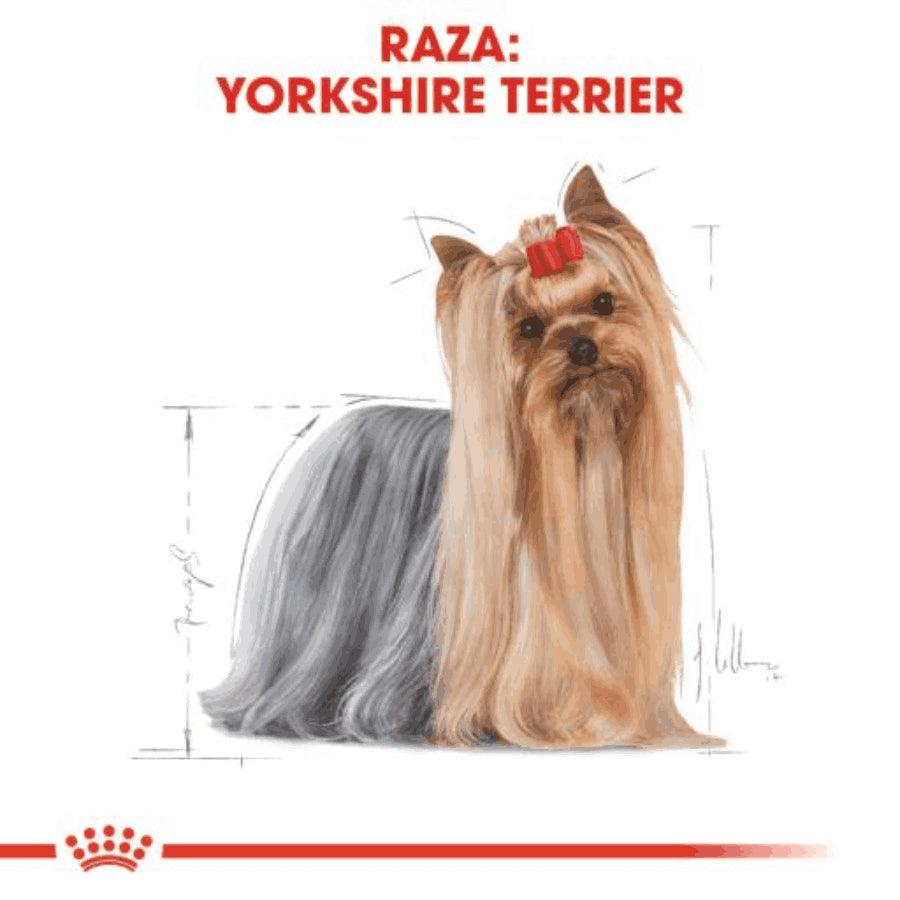 Royal Canin Yorkshire Terrier Adulto: El pienso premium que realza el brillo y la salud del pelo largo, satisface los paladares más exigentes y cuida la salud dental. Perfecto para Yorkshires adultos. 🐕✨