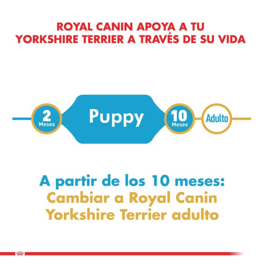 Royal Canin Yorkshire Terrier Puppy 3 Kg, especialmente formulado para cachorros de esta raza de 2 a 10 meses. Promueve un crecimiento saludable y un pelaje brillante. 🐕✨