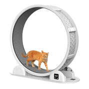 Rueda Caminadora Inteligente para Gatos, con tecnología que ajusta la intensidad del ejercicio. Motor silencioso y cinta cómoda, ideal para mantener a tu gato saludable.