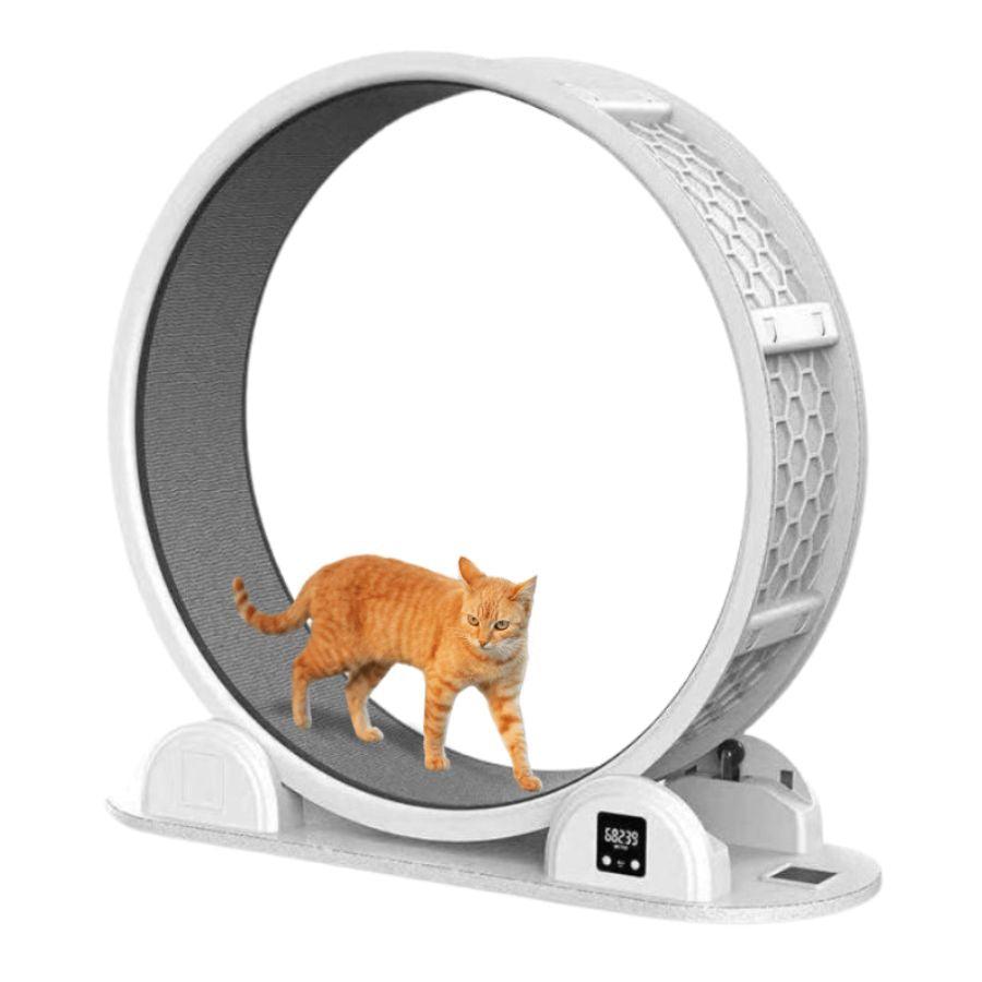 Rueda Caminadora Inteligente para Gatos, con tecnología que ajusta la intensidad del ejercicio. Motor silencioso y cinta cómoda, ideal para mantener a tu gato saludable.