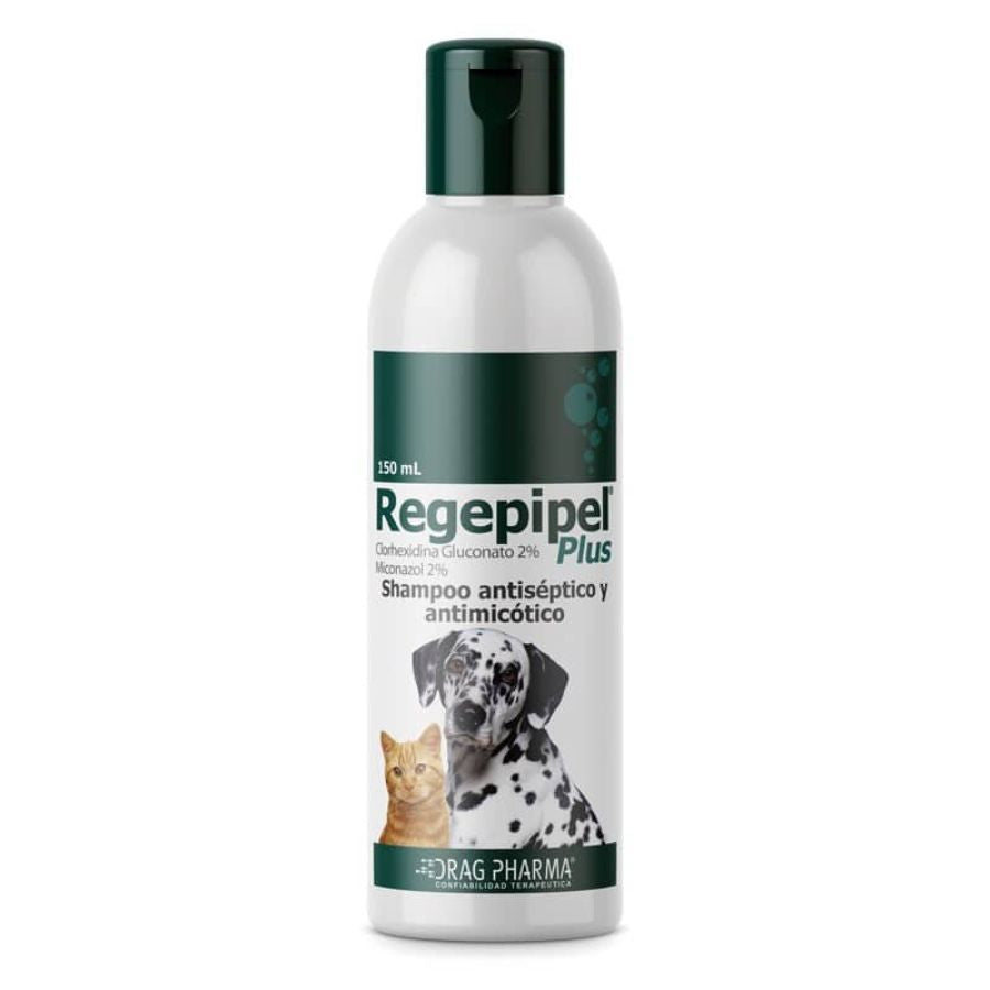 Shampoo Regepipel Plus 150ml 🐶🐱 antiséptico y antimicótico para perros y gatos. Ideal para tratar dermatitis seborreica e infecciones en la piel.