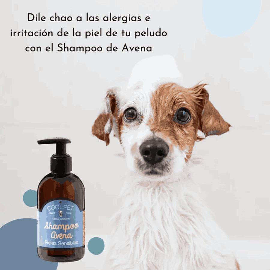 Shampoo de Avena para Mascotas con Pieles Sensibles Cool Pet: calma la irritación y aporta brillo al pelaje. Ideal para perros, gatos y animales exóticos. 🌿🐾