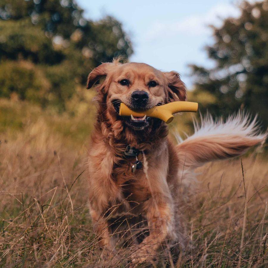 Super Stick Goma Natural, juguete resistente y seguro para perros. Hecho de goma natural, ideal para masticación y juegos interactivos. Disponible en colores brillantes.