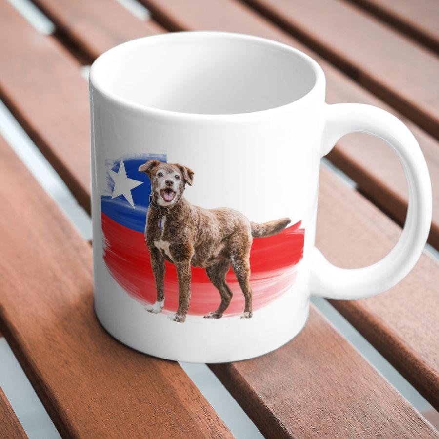 Tazas Personalizadas Diseño Bandera Chilena con Foto de tu Mascota ❤️: Inmortaliza a tu peludito en una taza para acompañarte cada mañana. Ideal para regalar 🎁.