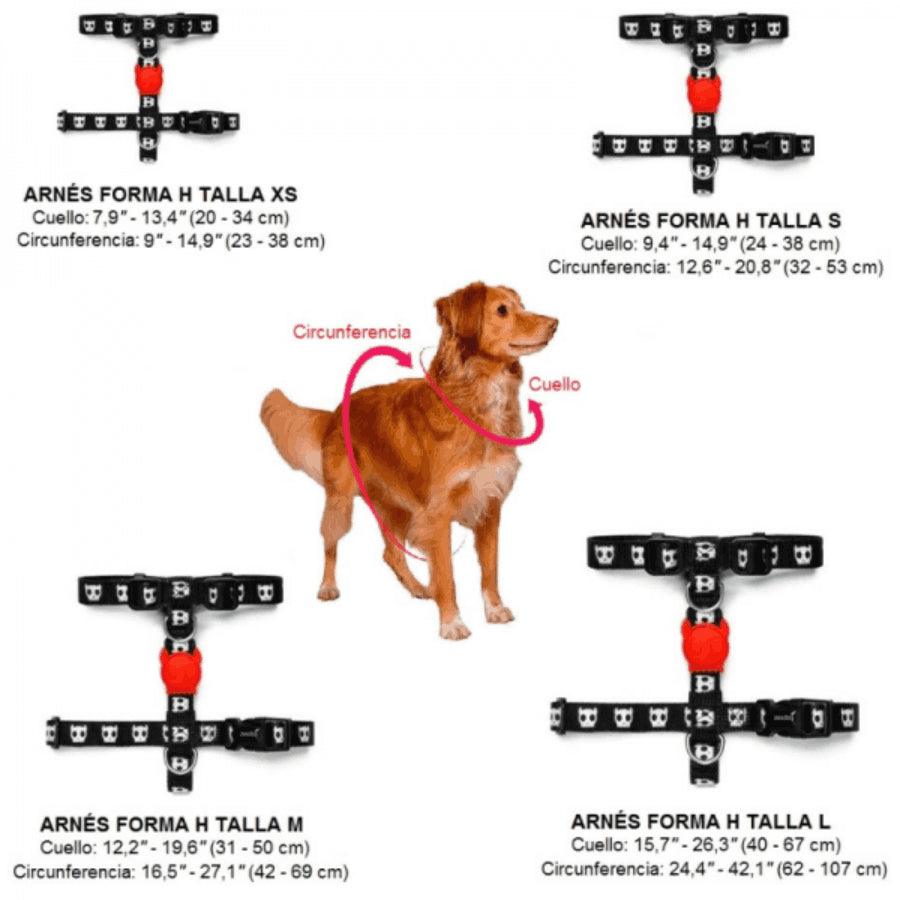 Zee Dog Skull 2.0 H-Harness: Arnés en forma de H para perros, ligero y ajustable. 🐕 Fabricado en poliéster suave, con sistema de bloqueo seguro y diseño vibrante.