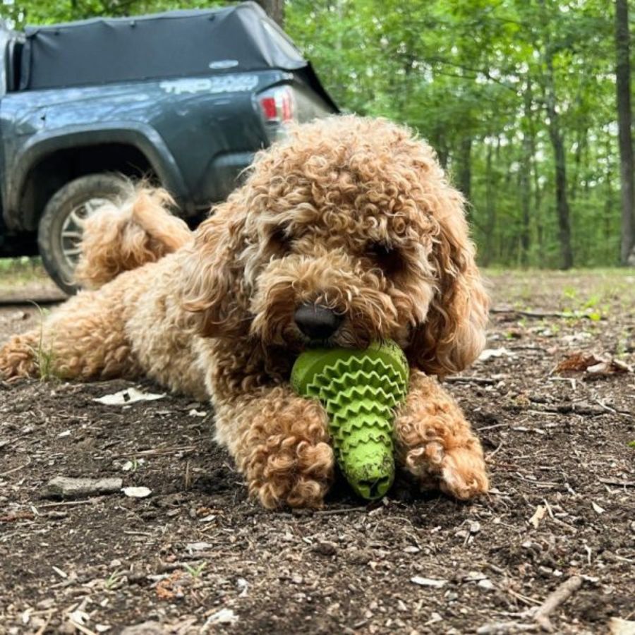 Pino de Goma Natural 🎄, juguete duradero y seguro para perros, con ranuras para snacks y beneficios dentales. Ideal para el juego interactivo.